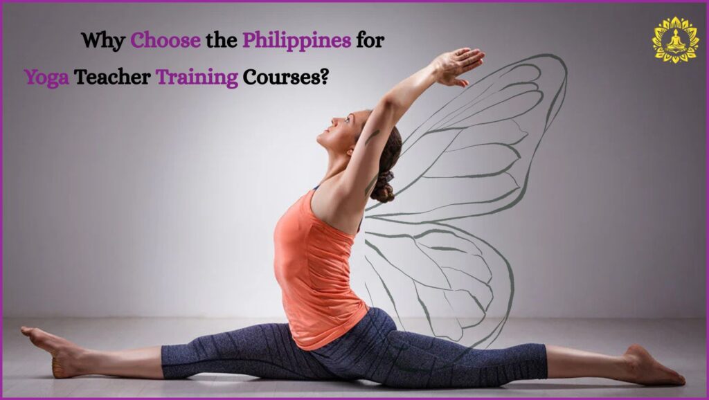 Yoga Teacher Training Courses