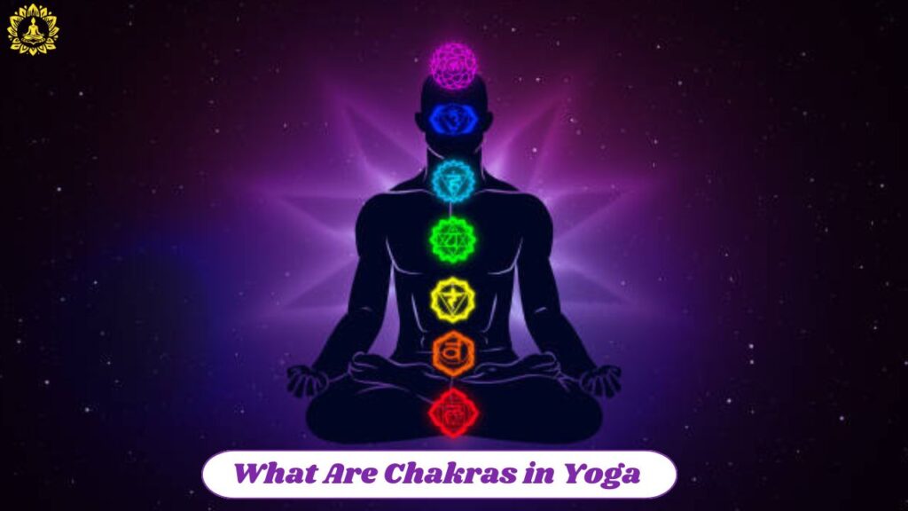 Chakras