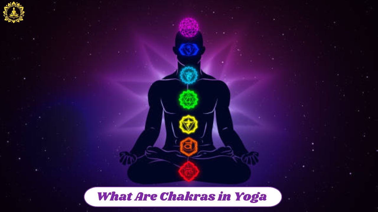 Chakras